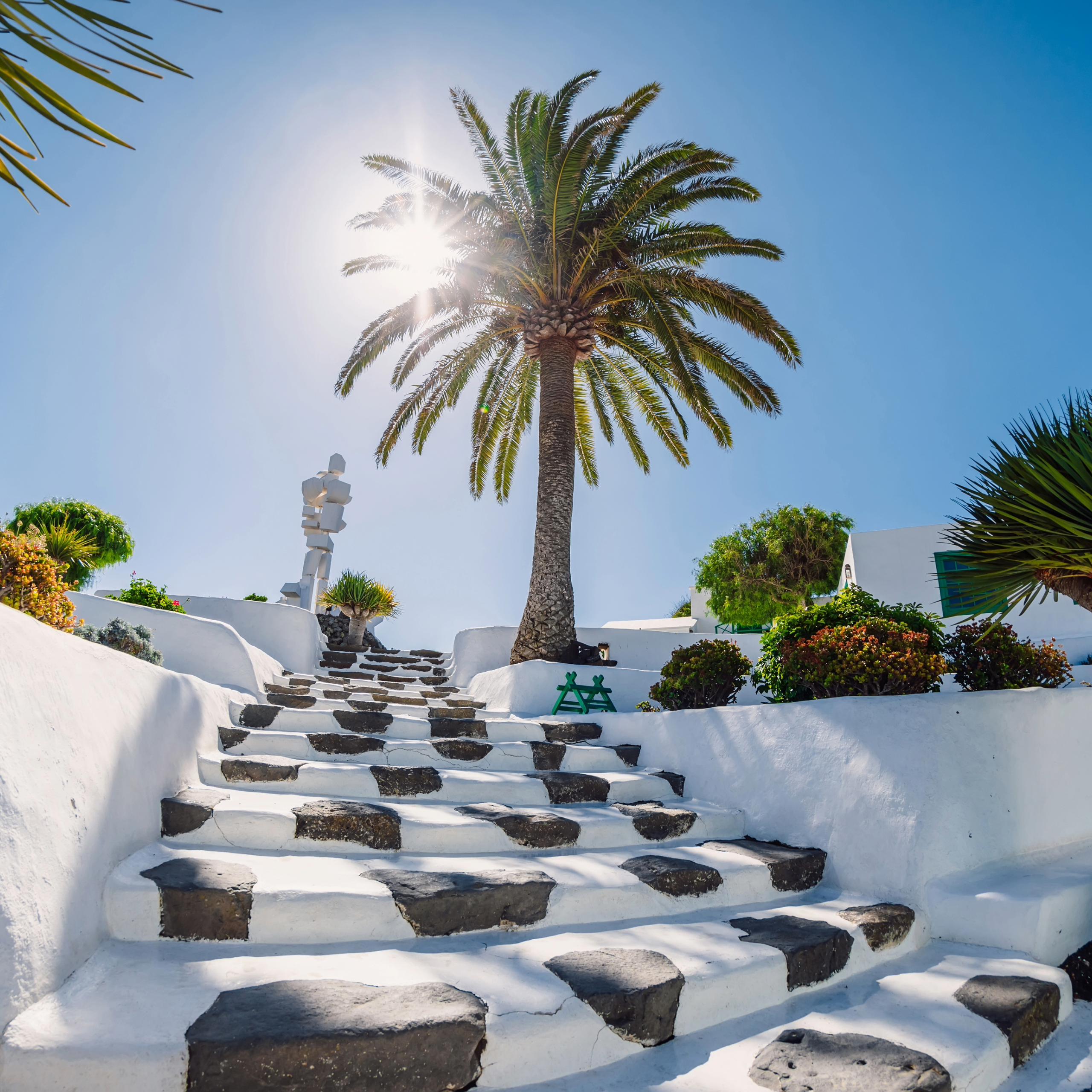twb Lanzarote (1)