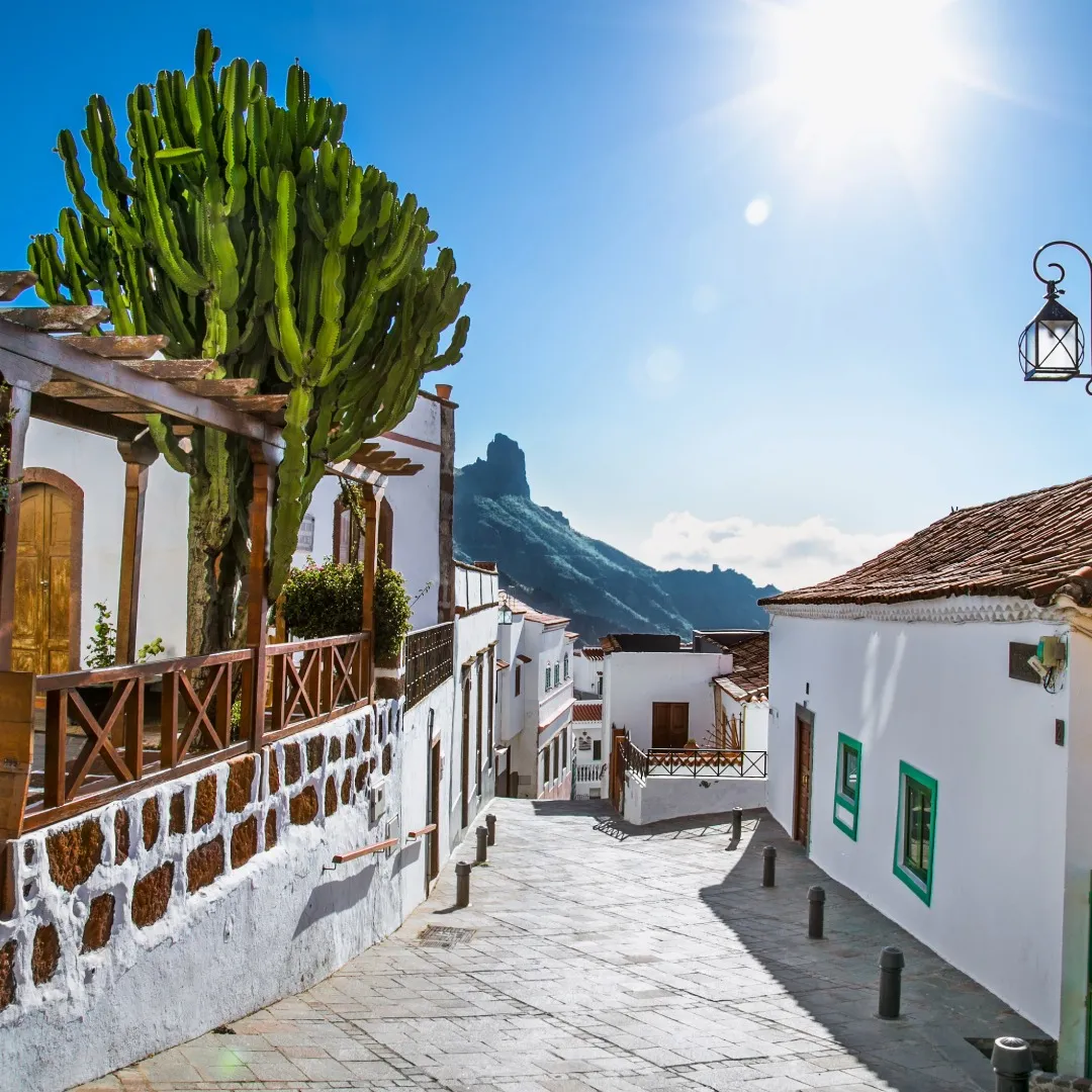 twb Gran Canaria