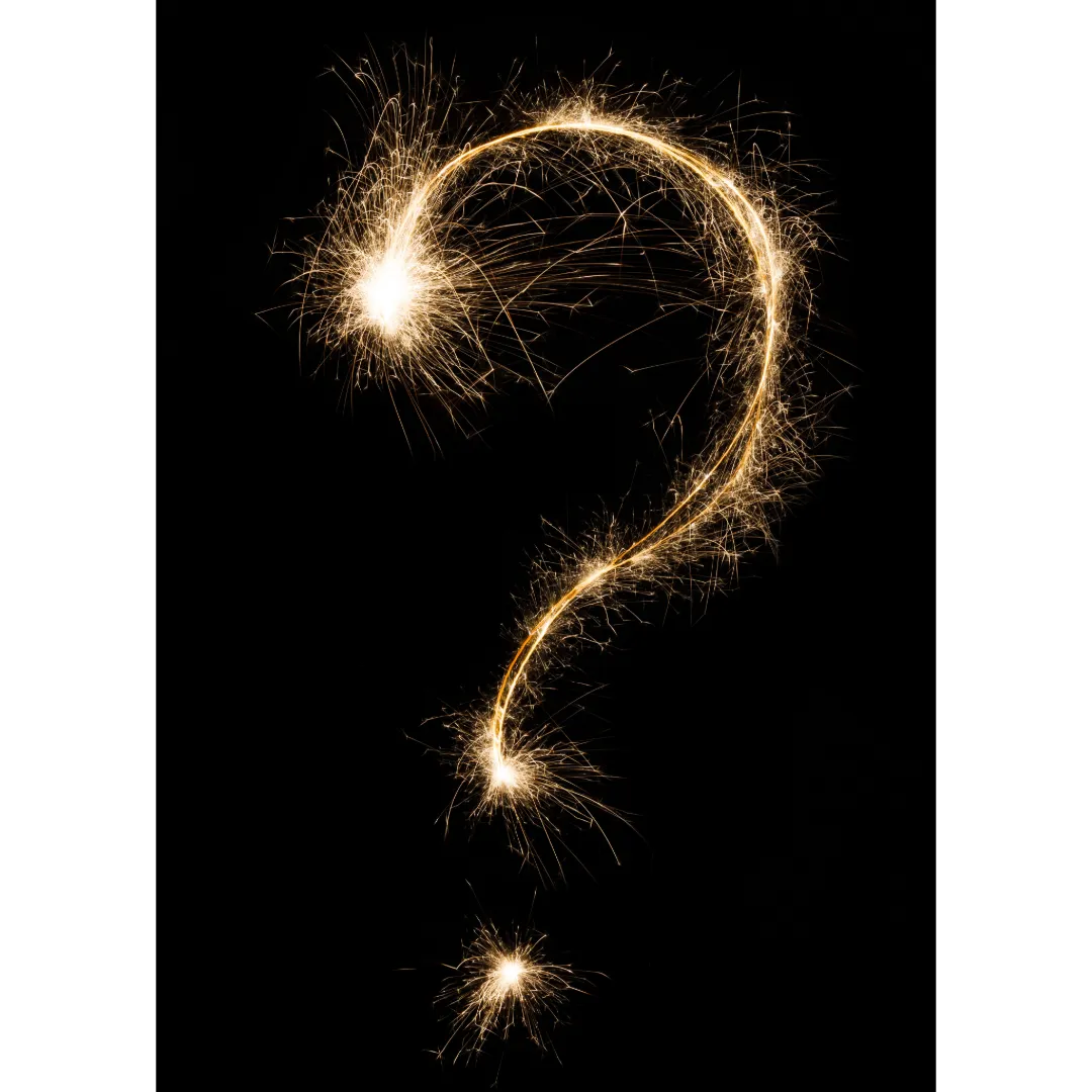 NYE Mystery Tour-8