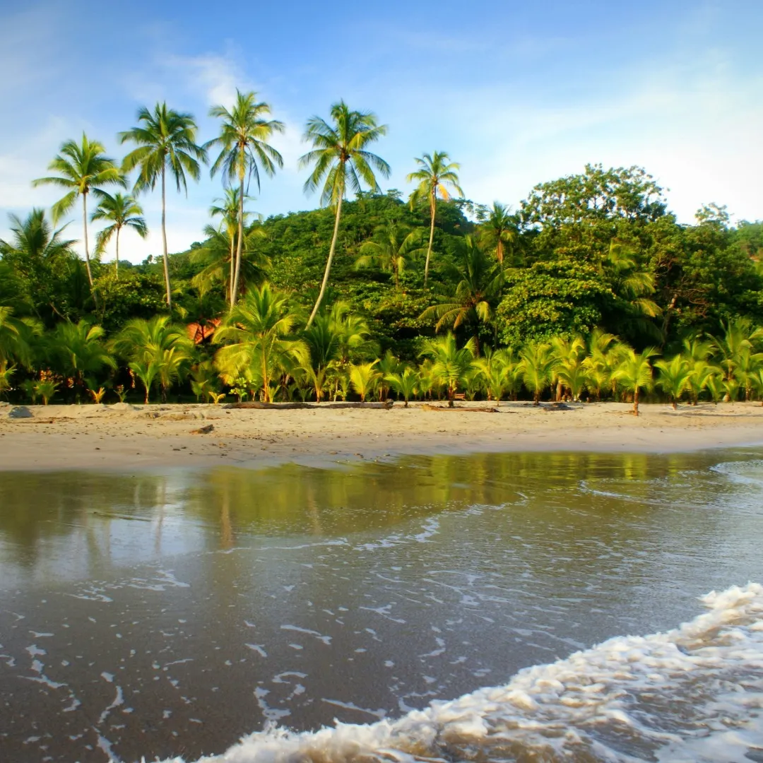 punta leona-11